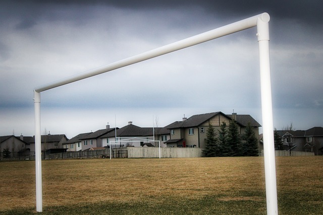 得到了极大 得到了极大