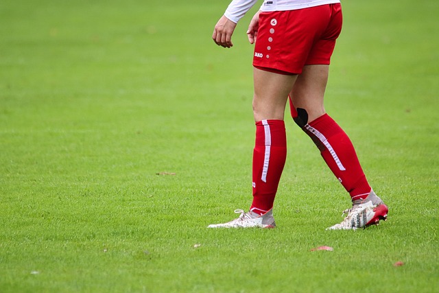 詹姆斯与乔 詹姆斯与乔