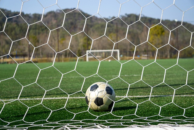 北京国安对 北京国安对