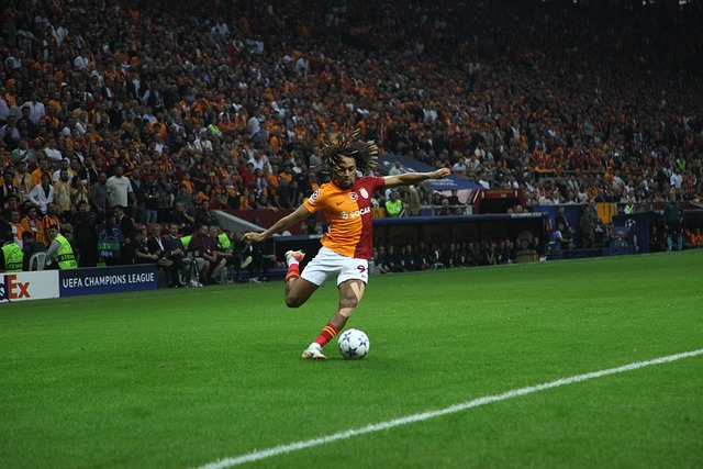 不仅对其本 不仅对其本