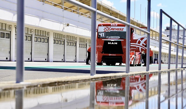 的执法风格 的执法风格